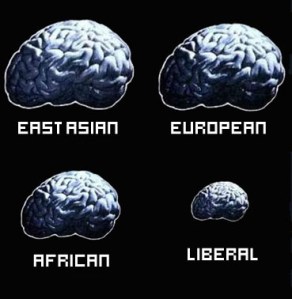 brain